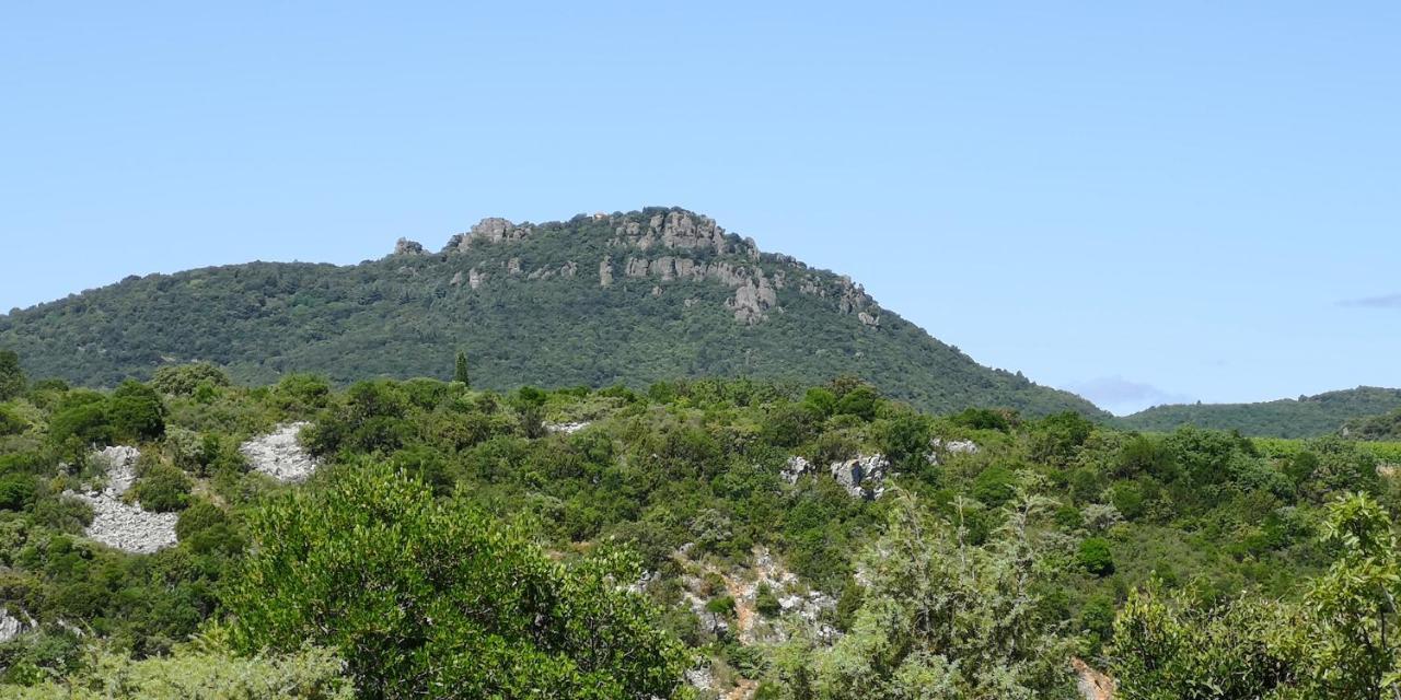 Le Mimosa Bed & Breakfast Saint-Saturnin-de-Lucian Exterior photo