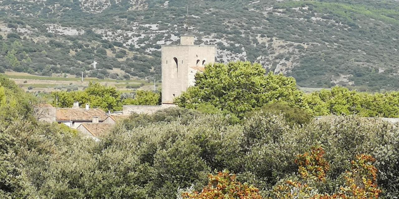 Le Mimosa Bed & Breakfast Saint-Saturnin-de-Lucian Exterior photo