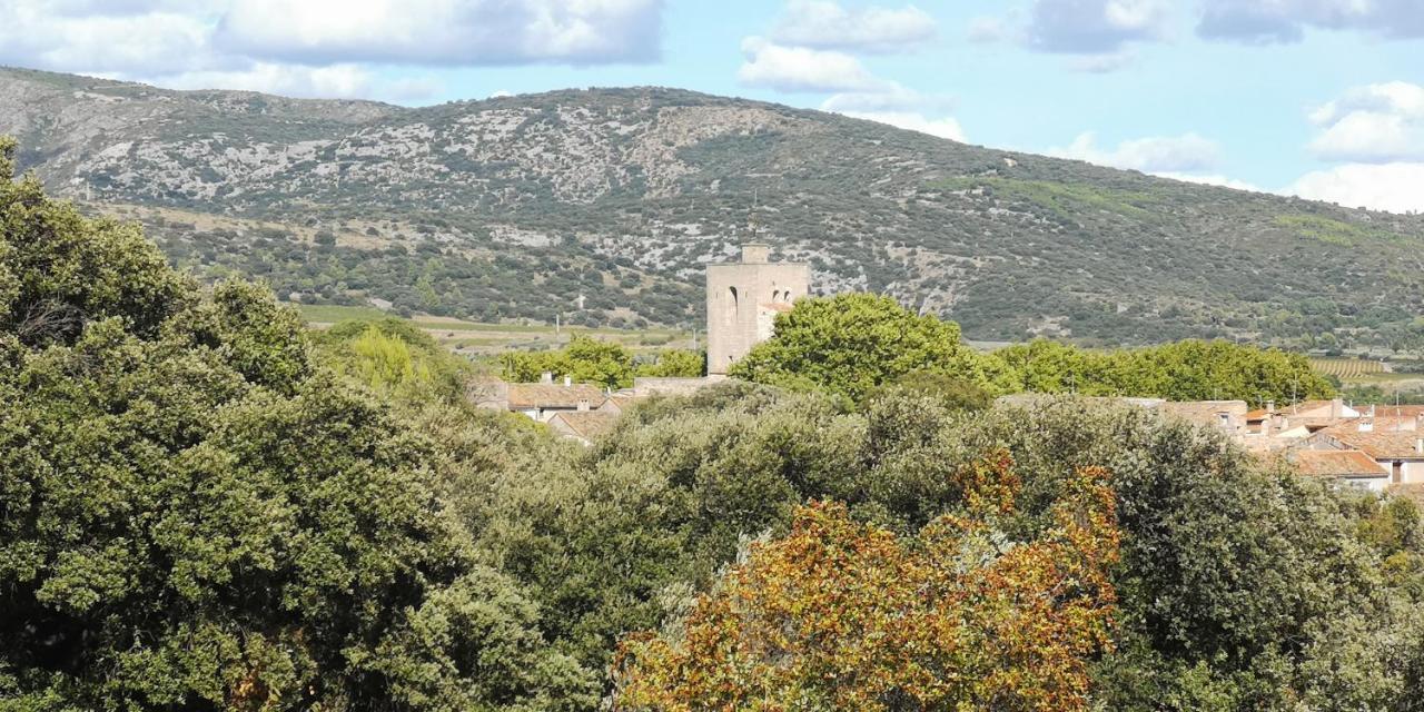 Le Mimosa Bed & Breakfast Saint-Saturnin-de-Lucian Exterior photo