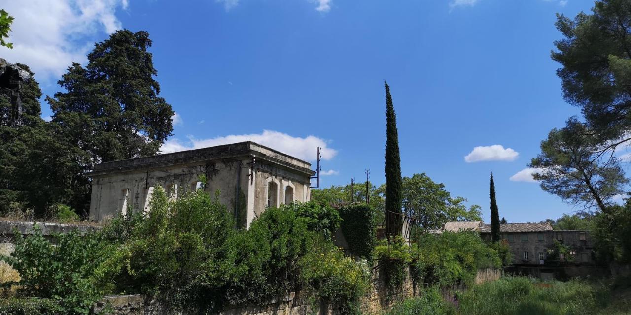 Le Mimosa Bed & Breakfast Saint-Saturnin-de-Lucian Exterior photo