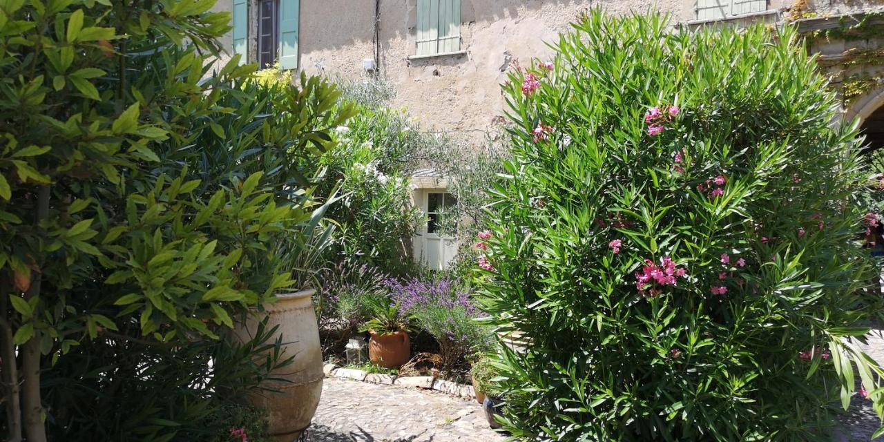 Le Mimosa Bed & Breakfast Saint-Saturnin-de-Lucian Exterior photo